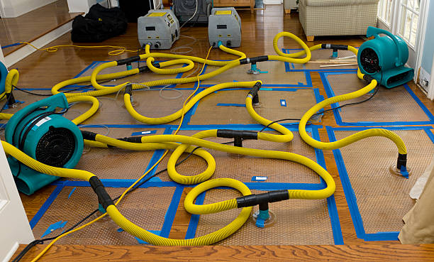 Professional Burst Pipe Water Damage technician working in Mineral Wells, TX